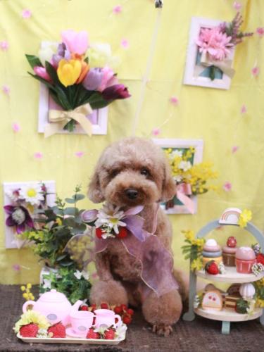 20230330くぅくん